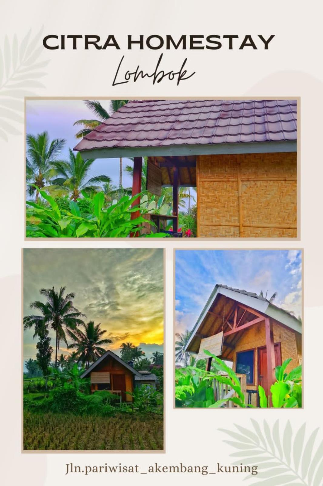 Citra Homestay Тетебату Екстериор снимка